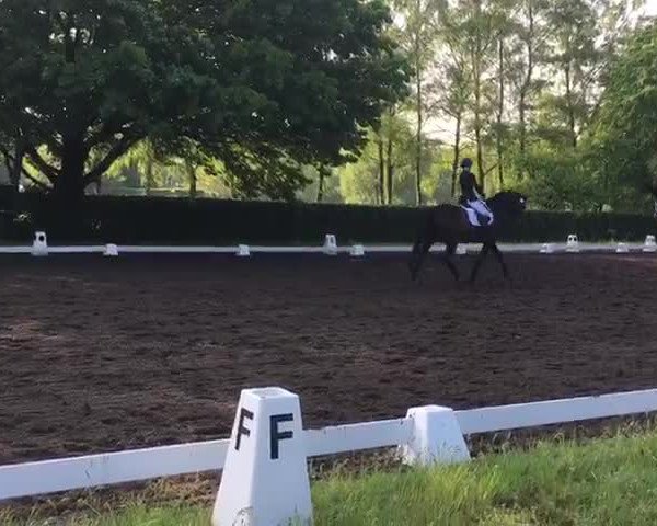 Video of Floribot W