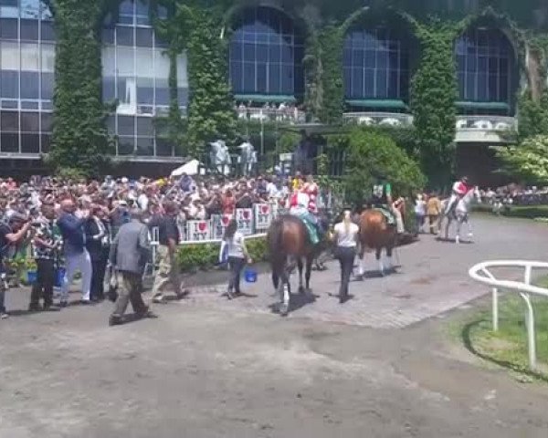 Video of Songbird xx