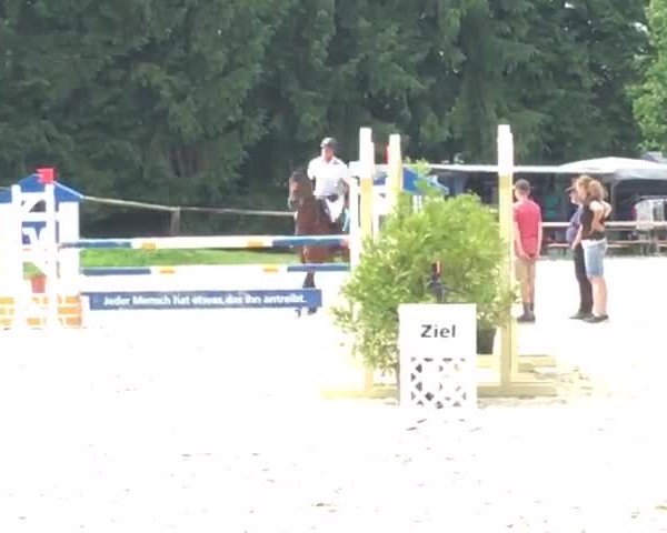 Reitturnier Hagen, Kalthauser Höhe 2017