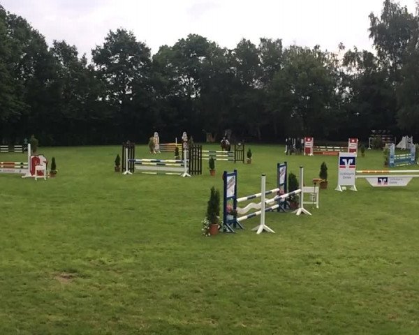 Video of Diano 14