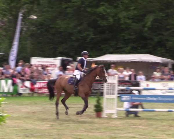 Video of coraggiosa-2