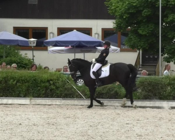 Reitturnier Kurtscheid 2017