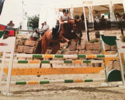 broodmare Amy 236 (Westphalian, 2003, from Arpeggio)