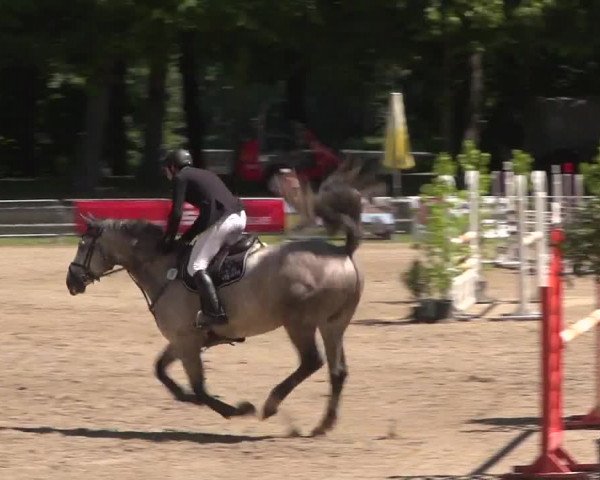 Video de argentina-von-rocherath