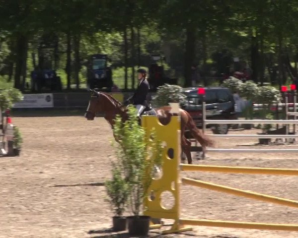 Video of crime-time-3