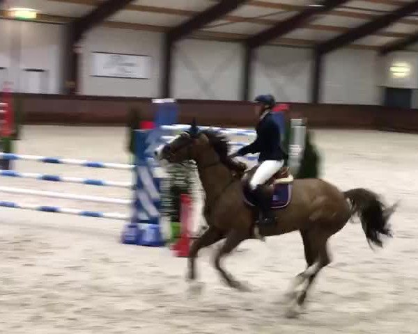 Video von Loveley Guy