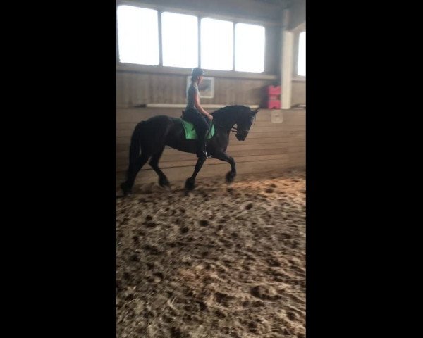 Video von Friese 7 J
