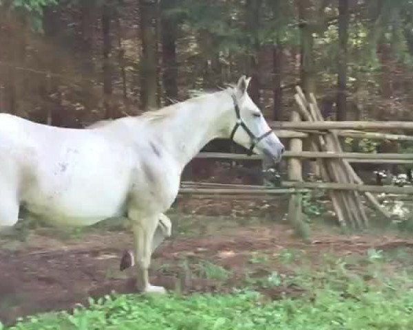Video of Larissa