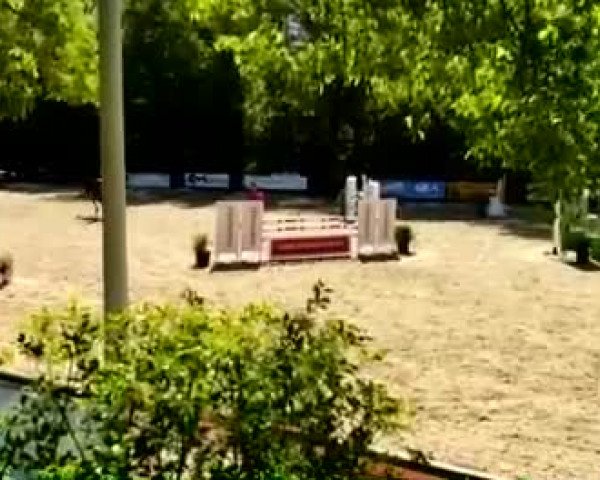 Video von Chica de La Luna 21