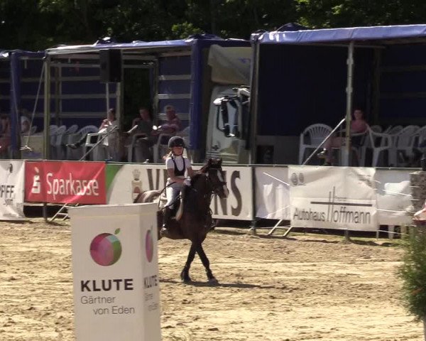 Reitturnier Hellefeld 2017