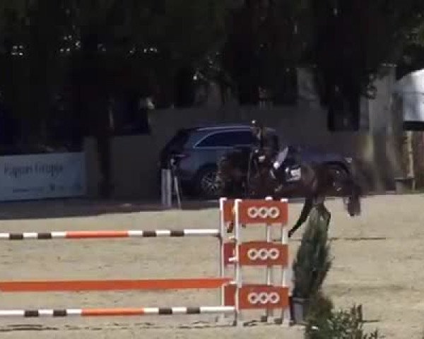 Video of La Martina