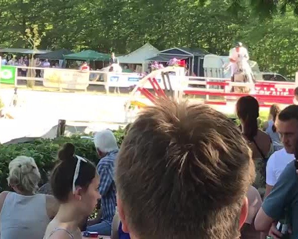 Video of Corrinaro