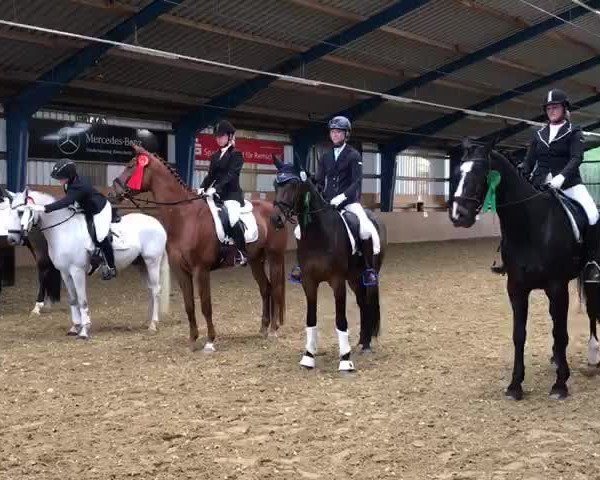 Video of Caretello's Peak