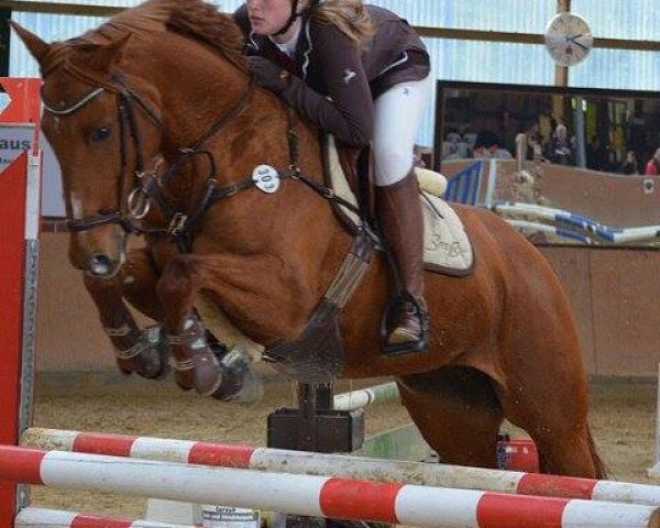Springpferd La Coeur (Westfale, 2004, von Lord Lancer)