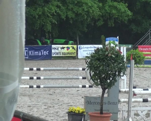 Reitturnier Remscheid, Buscher Hof 2017