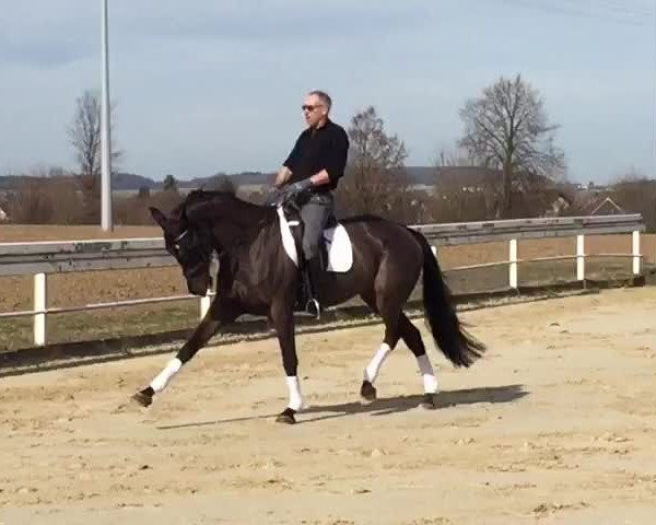 Video of Rookie 14
