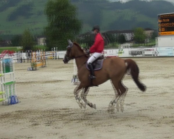 Video of Quidamo II CH
