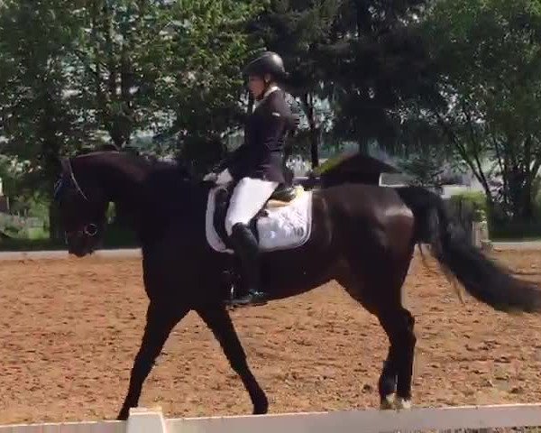 Video von Henning's Laurenzio