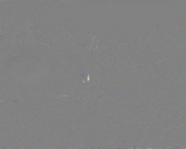 Video of Chaccy 2