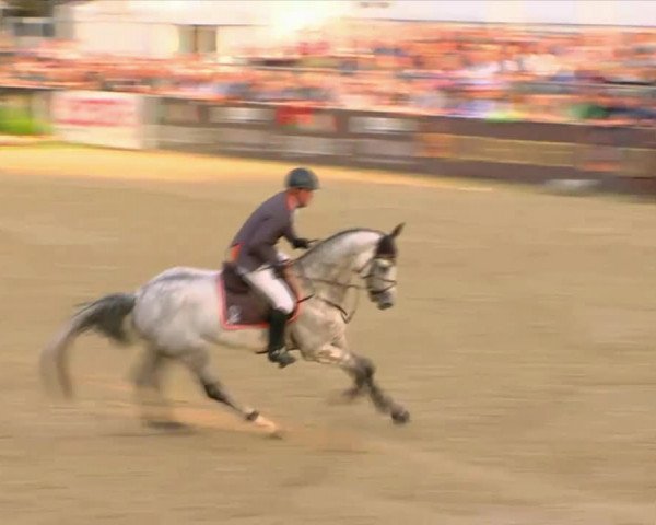 Video af Chacoon Blue