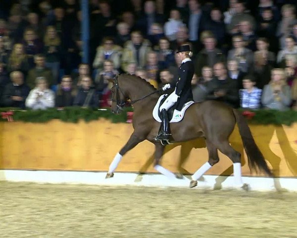 Video von Vitalis