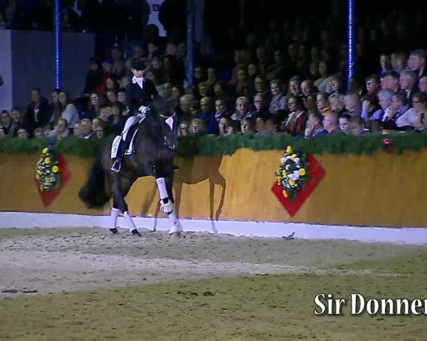 Video von Sir Donnerhall I