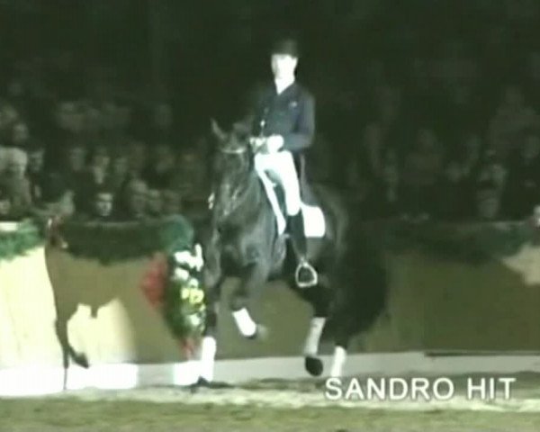 Video of Sandro Hit