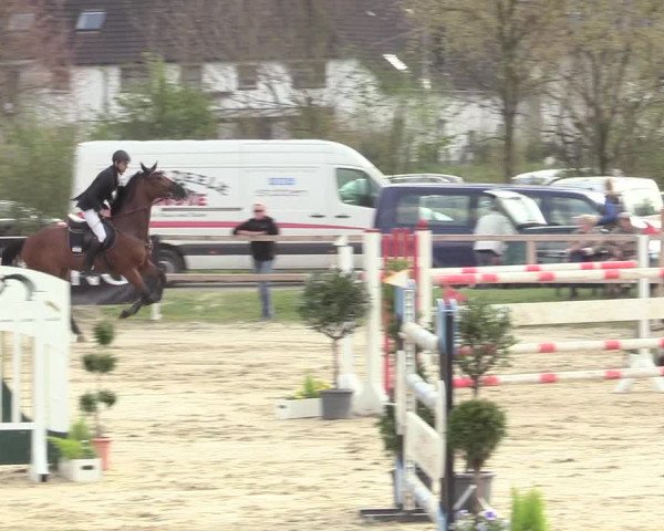 Video von neun-elfer-turbo