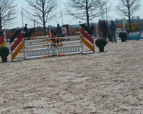 Video of Ludevik H