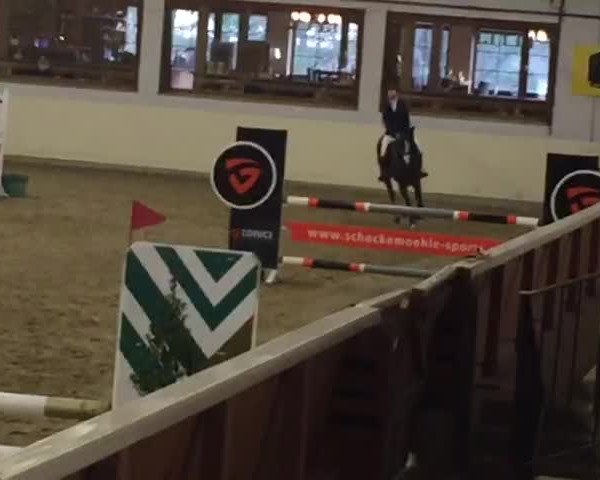 Video of Ludevik H