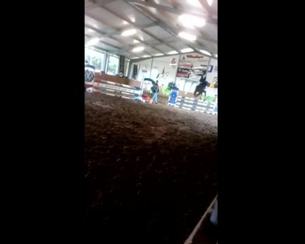 Video of Ludevik H