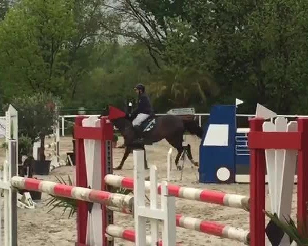 Reitturnier Castrop-Merklinde 2017