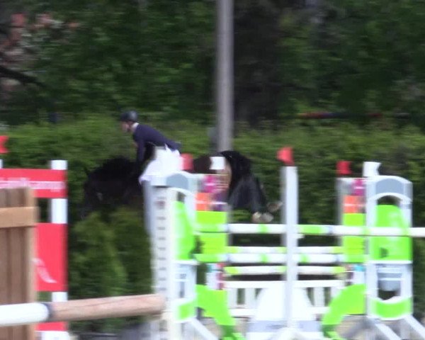 Video von high-noon-48