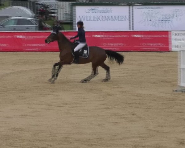 Video of Titania
