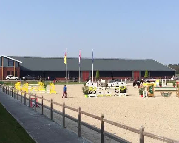Video von Arminia B.