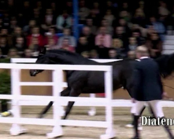 Video von Diatendro