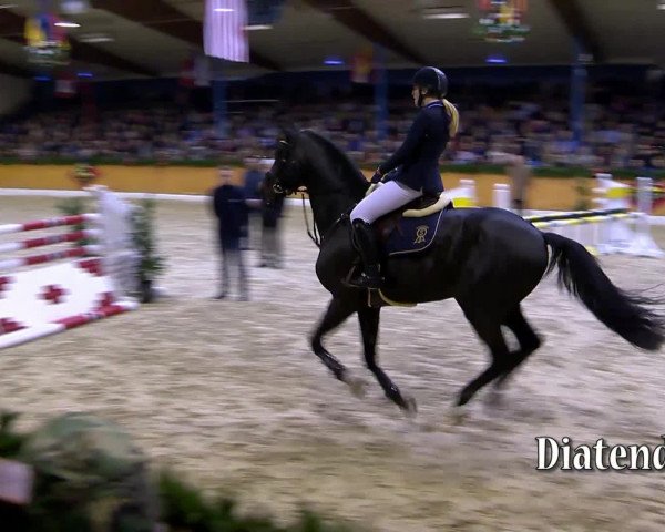 Video von Diatendro