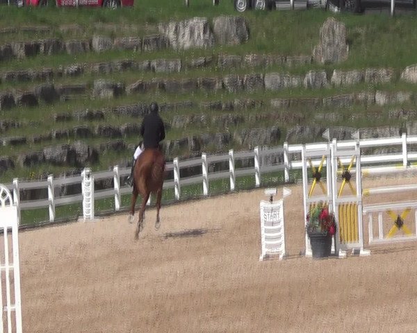 Video of Quirado 5