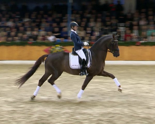 Video of Flinstone 8