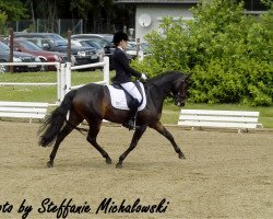 dressage horse So ein Glück (German Riding Pony, 2006, from Benetton S)