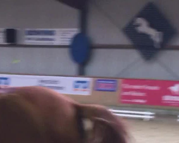 Video von Dörthe 9