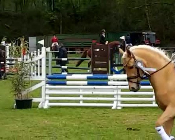 Video of Nordlicht 58