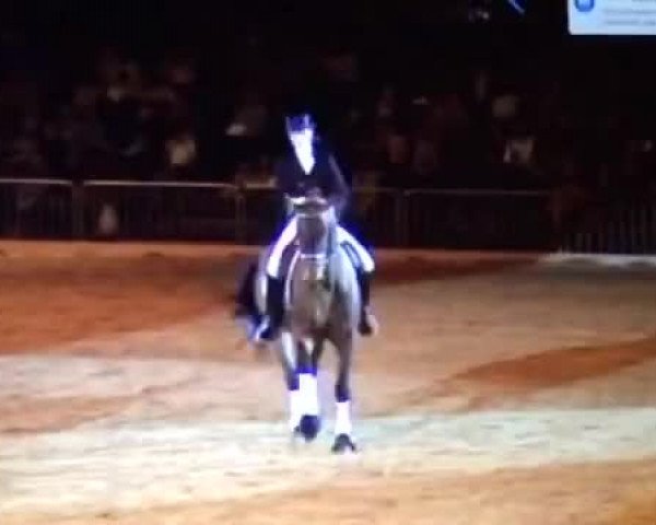 Video of Fornsbacher