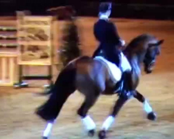 Video of Fornsbacher