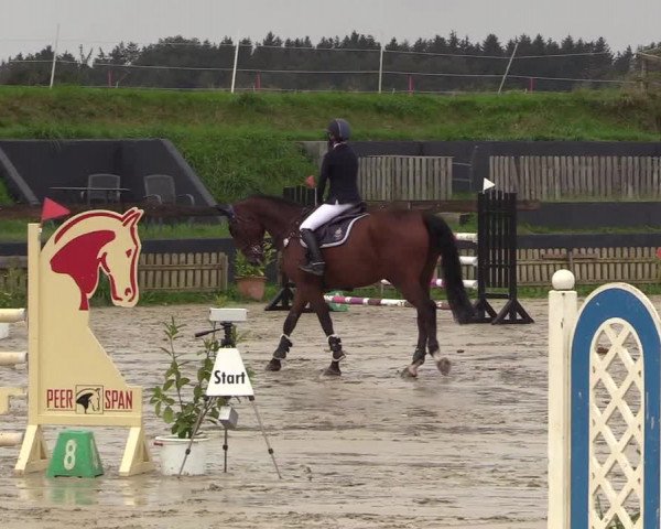 Reitturnier Schülp / Rendsburg 2021