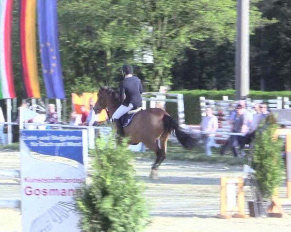 Video of istophe-vant-wissenhof
