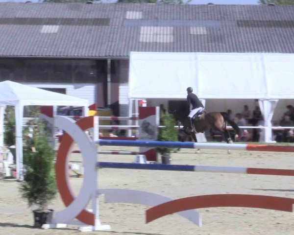 Video of checki-jim