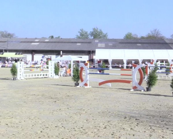 Video of lody-2