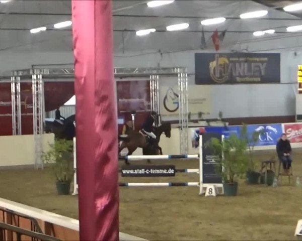 Video of Quick Bob
