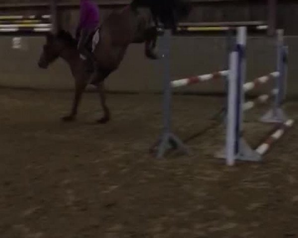 Video of Uno